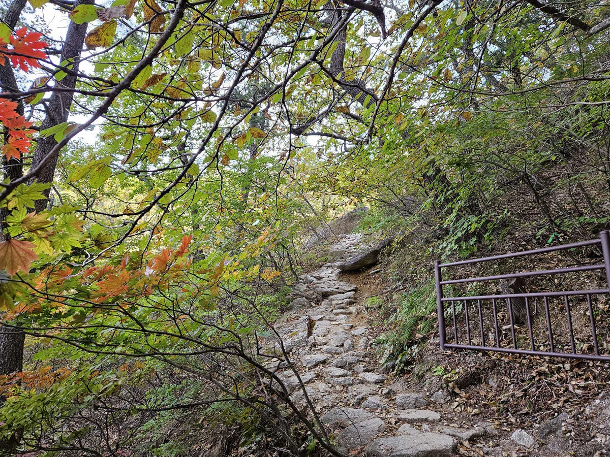 서북능선의 한계령 삼거리 가는 길