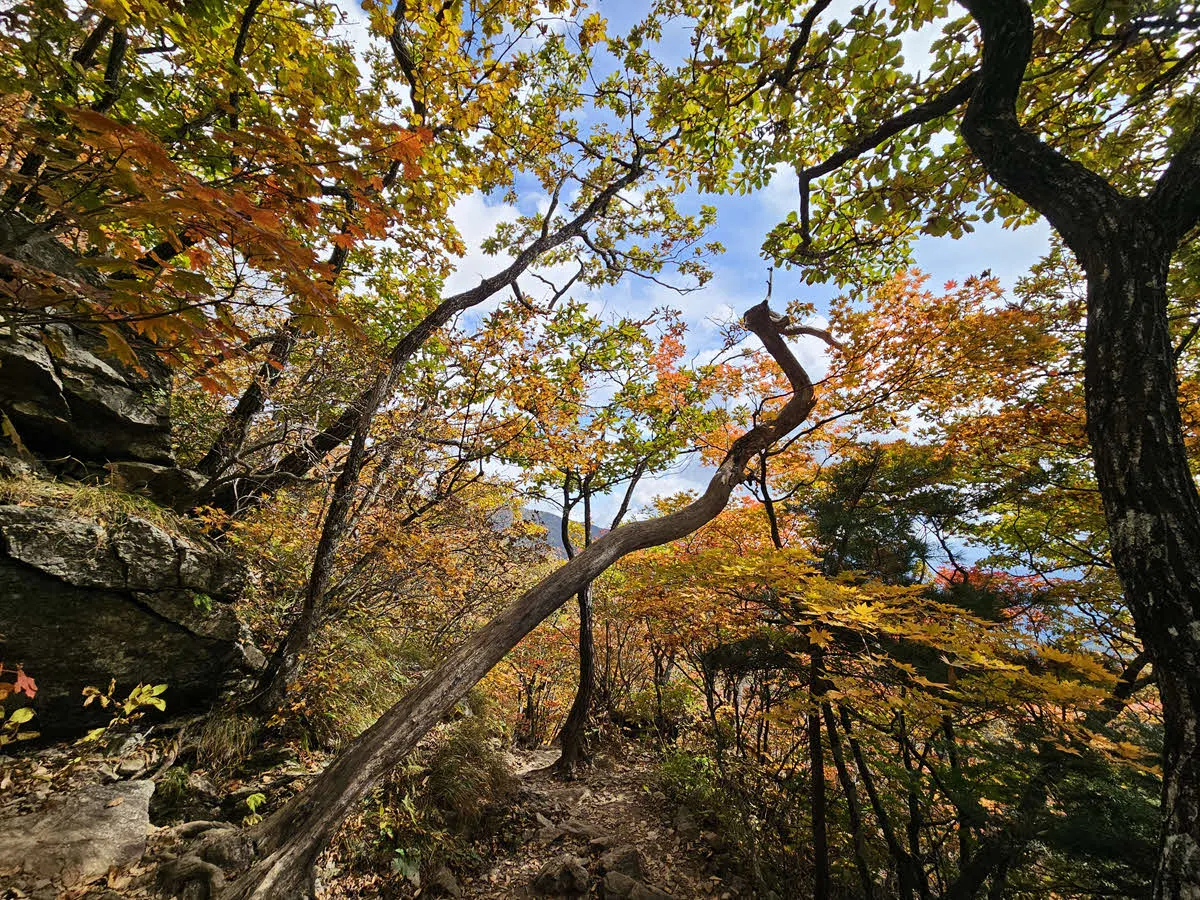 단풍이 물든 서북능선길