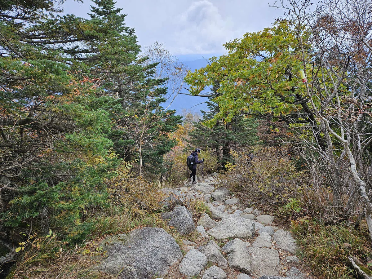 대청봉에서 오색지구로 하산하는 길