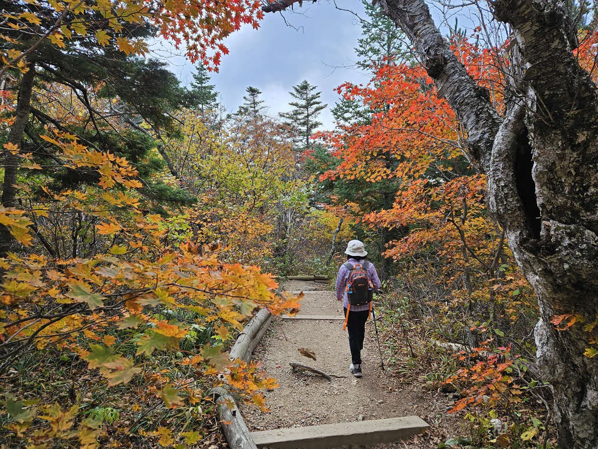 대청봉에서 하산길
