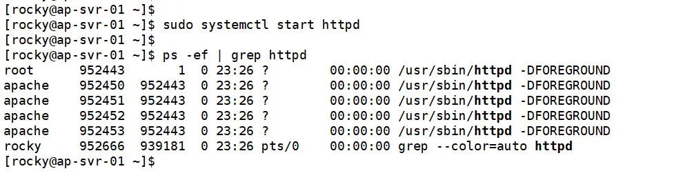 Apache 웹서버 시작 및 확인하기