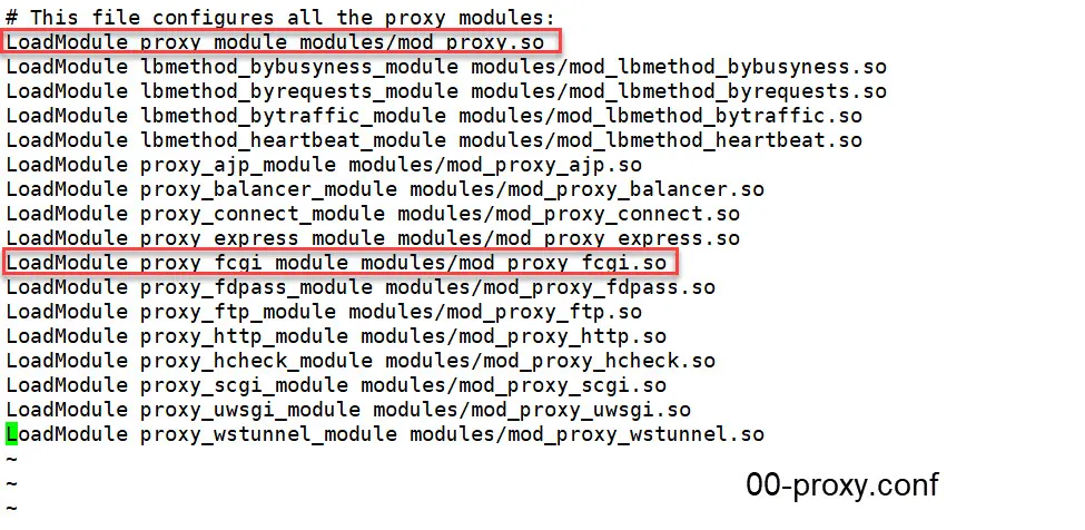 mod_proxy_fcgi 및 mod_proxy 모듈 Load 설정