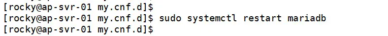mariadb 재실행하기