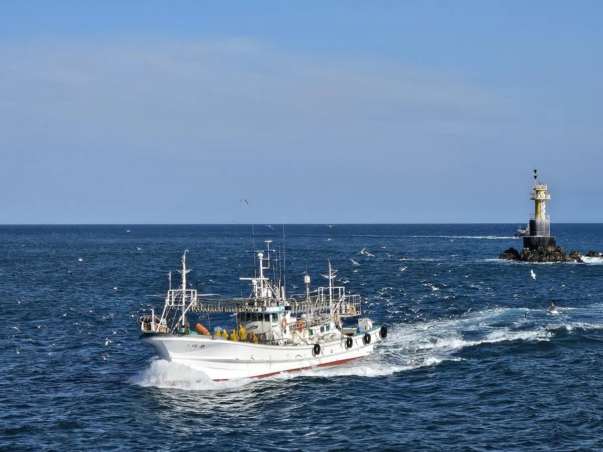 감포항송대말등대 02