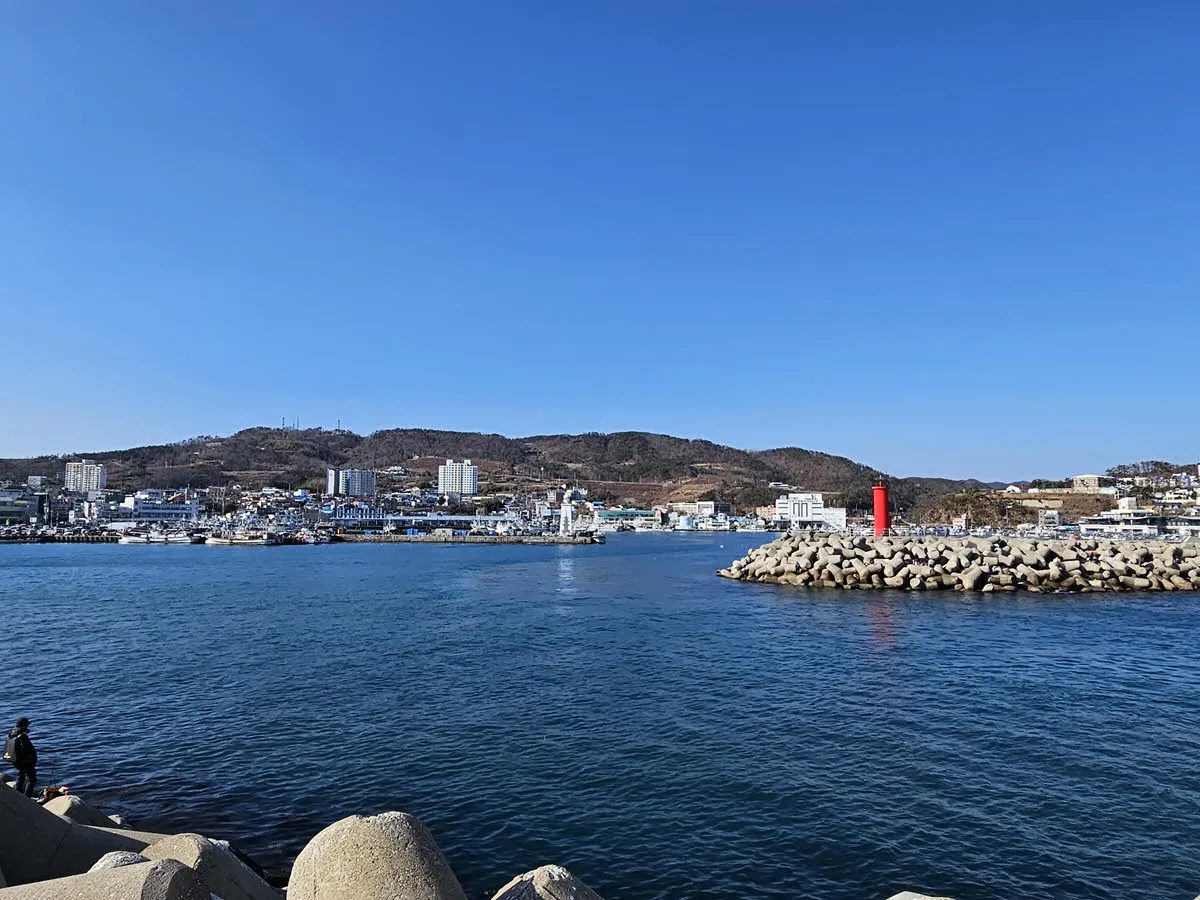 감포항 전경