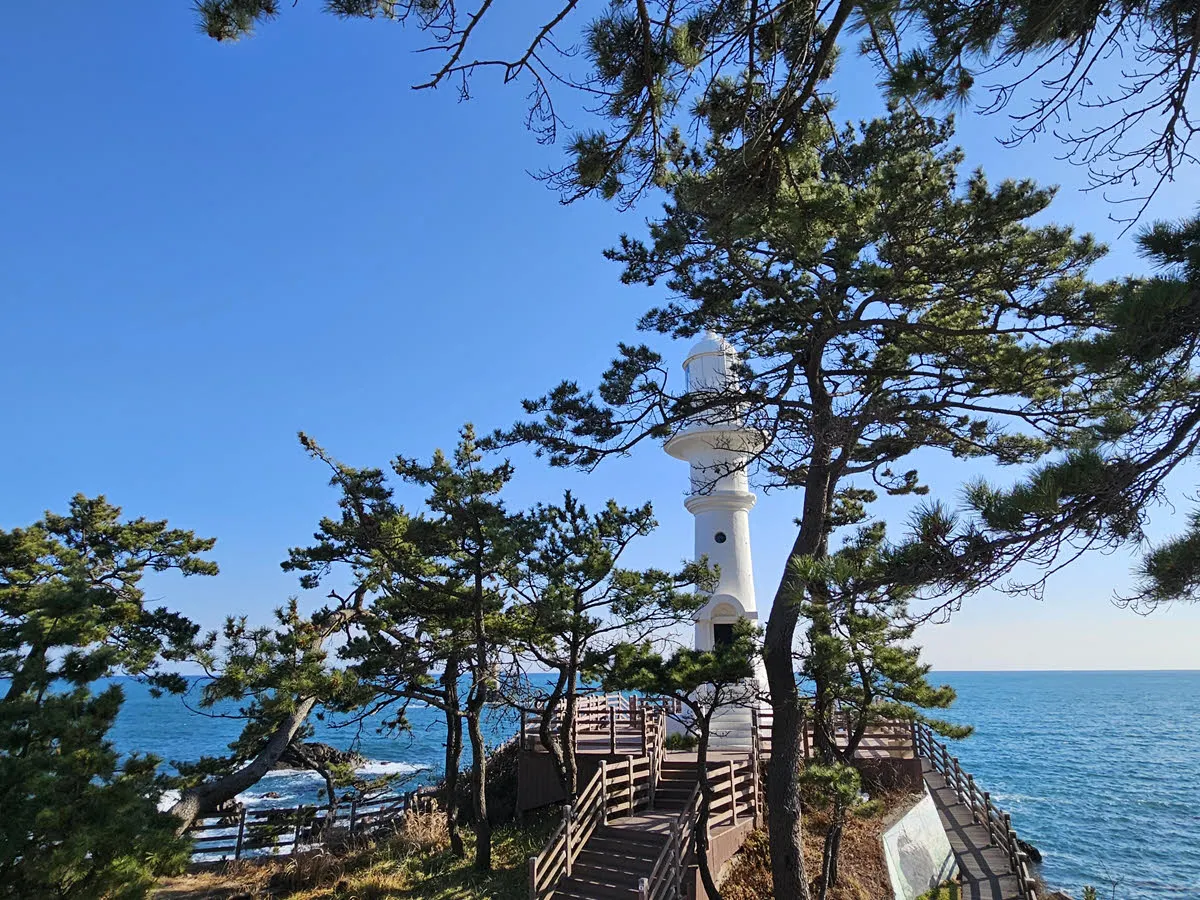 감포항 송대말등대