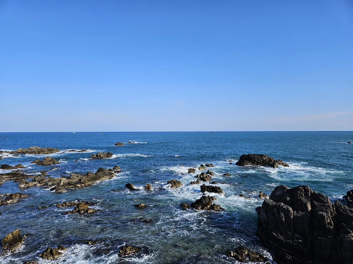 감포항송대말등대 07