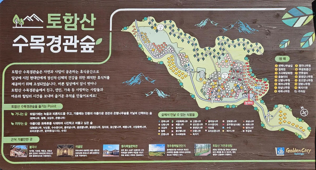 경주풍력발전단지 03