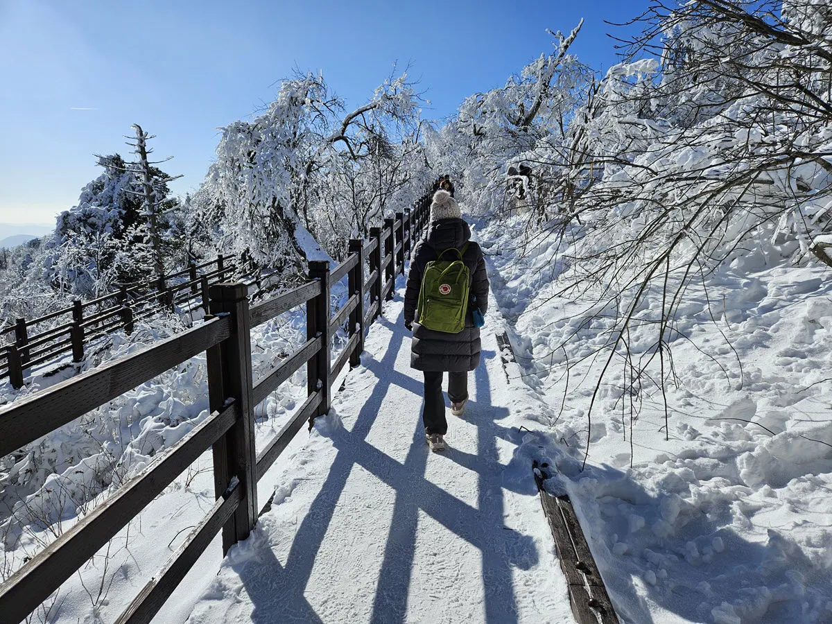 발왕산 천년주목숲길 입구