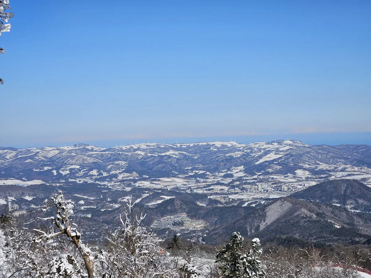 발왕산 천년주목숲길에서 바라본 풍경