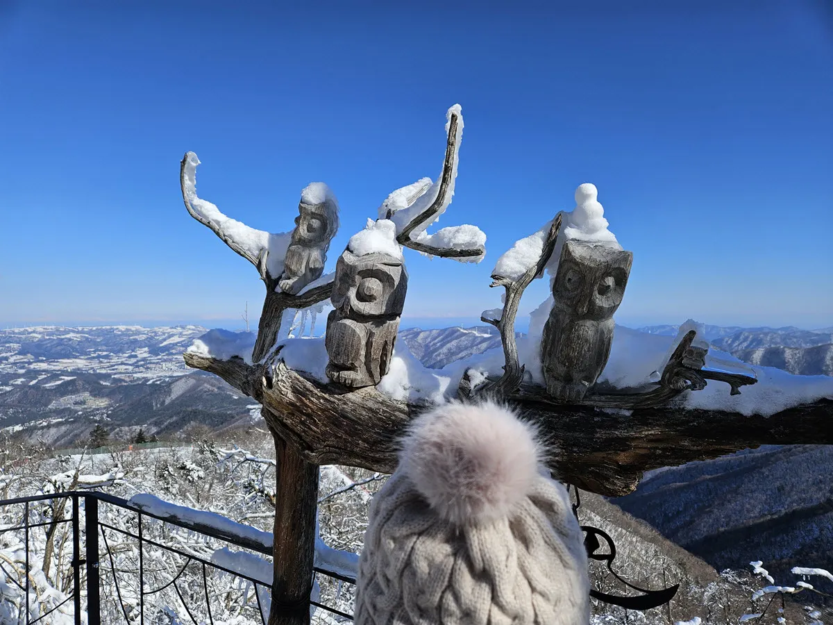 발왕산 천년주목숲길의 부엉이 조형물