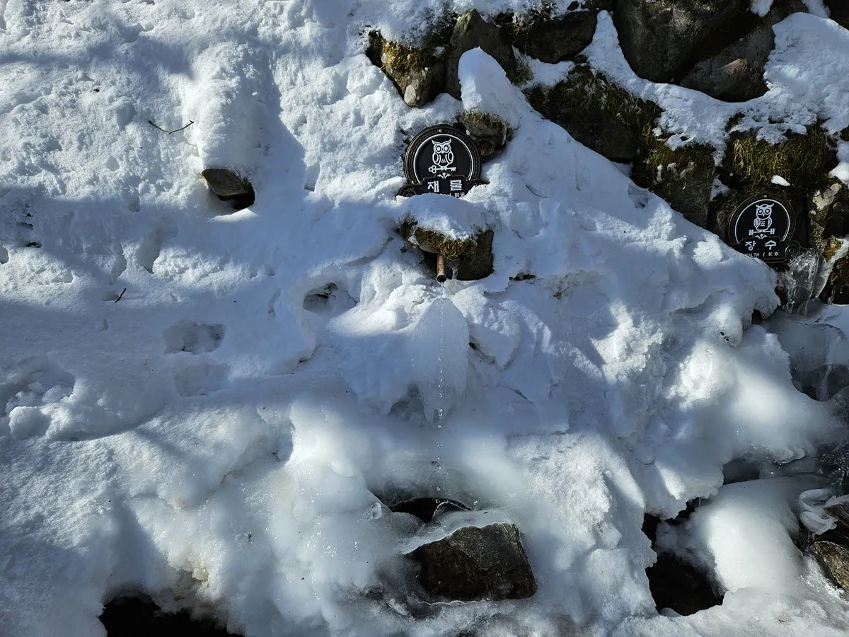 발왕산 천년주목숲길의 자연정화 생수