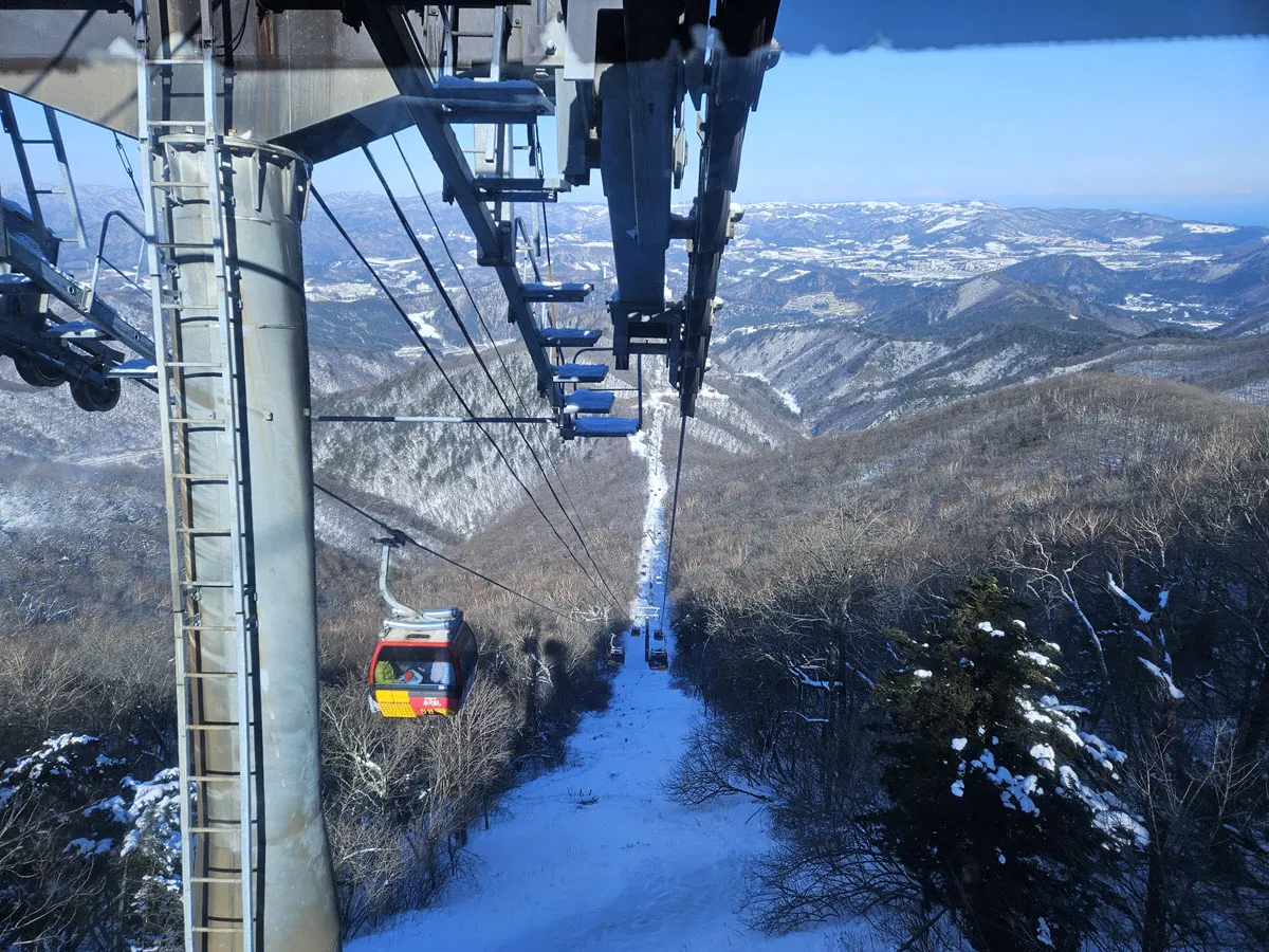 발왕산 천년주목숲길 하행선 케이블카
