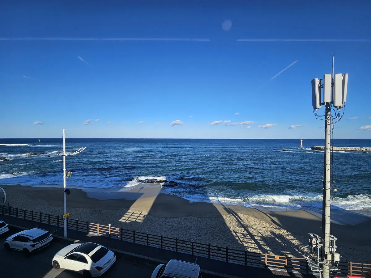 발왕산 천년주목숲길 19