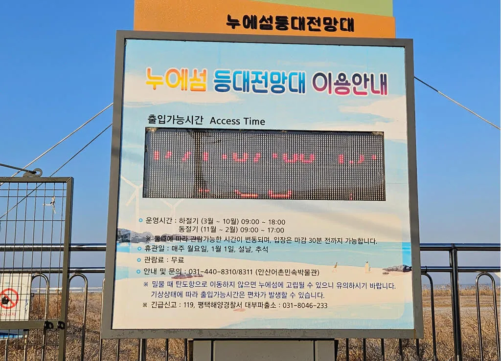 안산 탄도항 누에섬등대전망대 이용안내