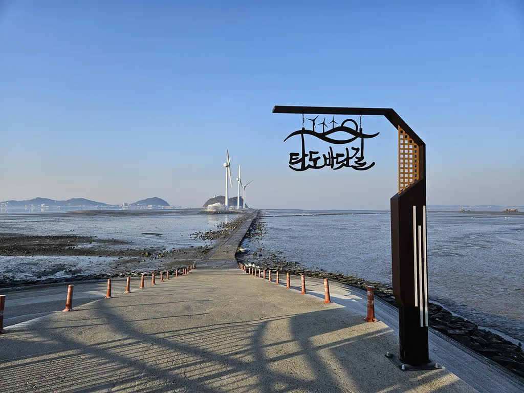 안산 탄도항 누에섬 가는 바닷길