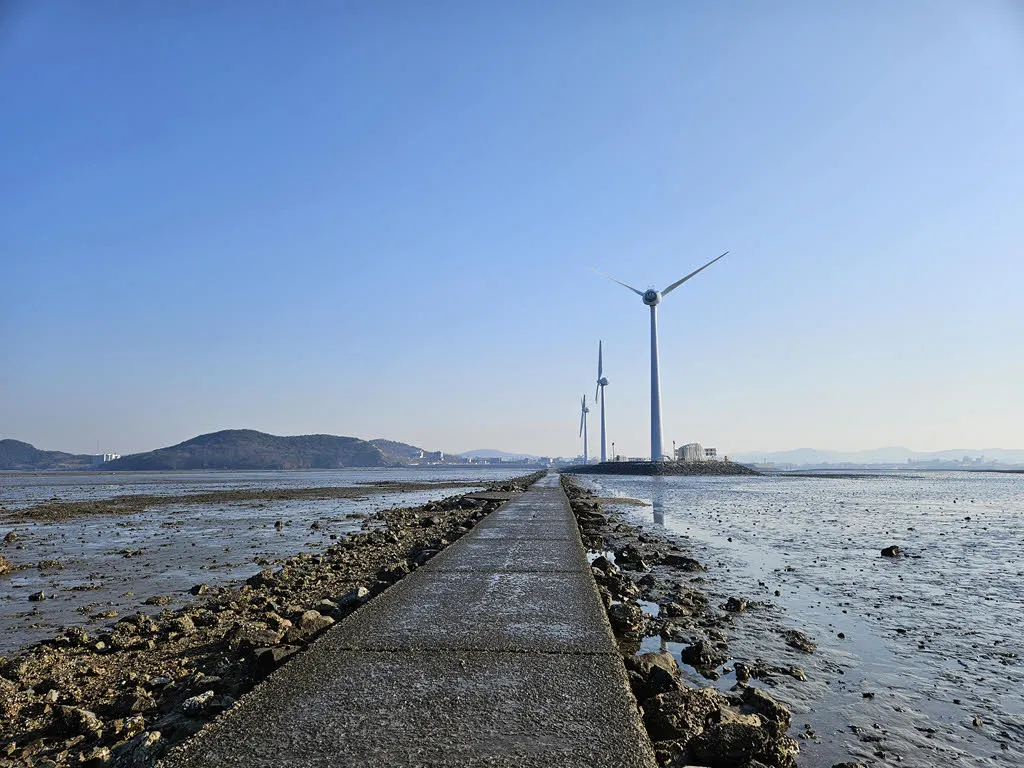 안산 탄도항 누에섬 물때