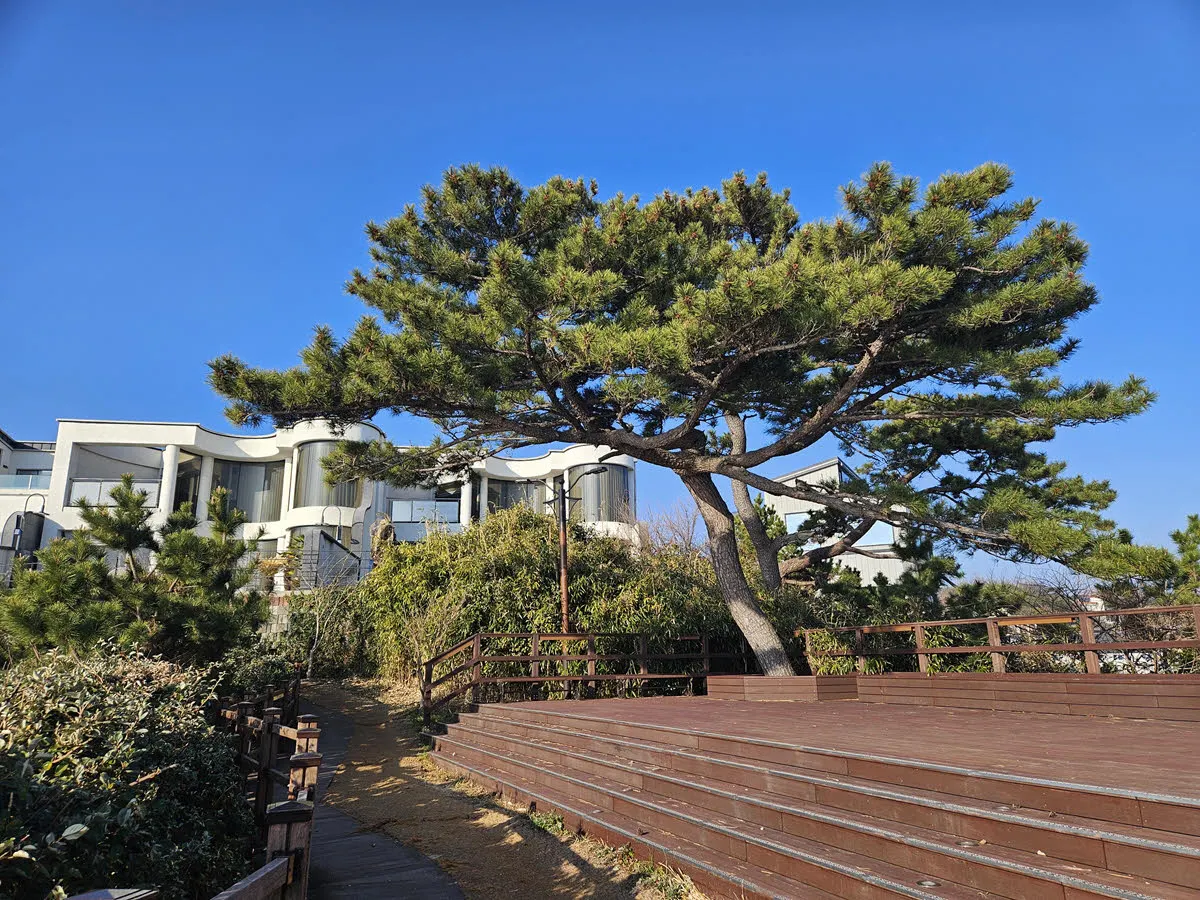 양남주상절리 파도소리길