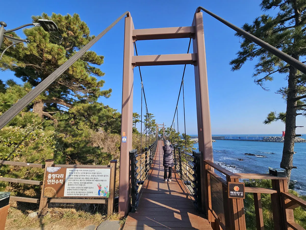 양남주상절리 파도소리길 - 출렁다리
