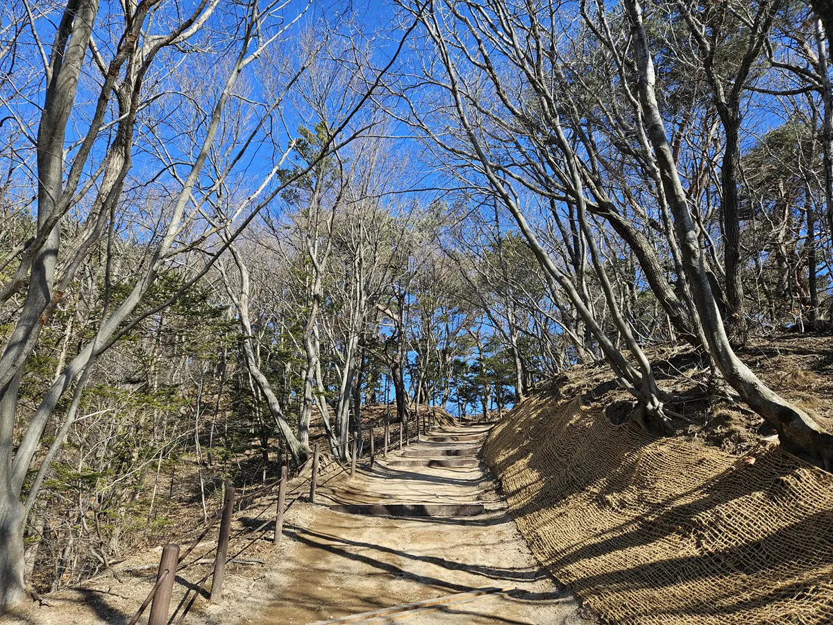 토함산석굴암 02
