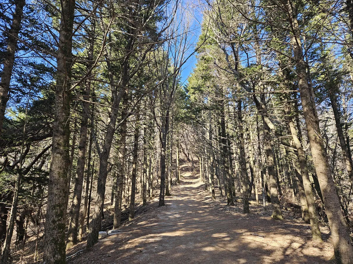 토함산석굴암 04