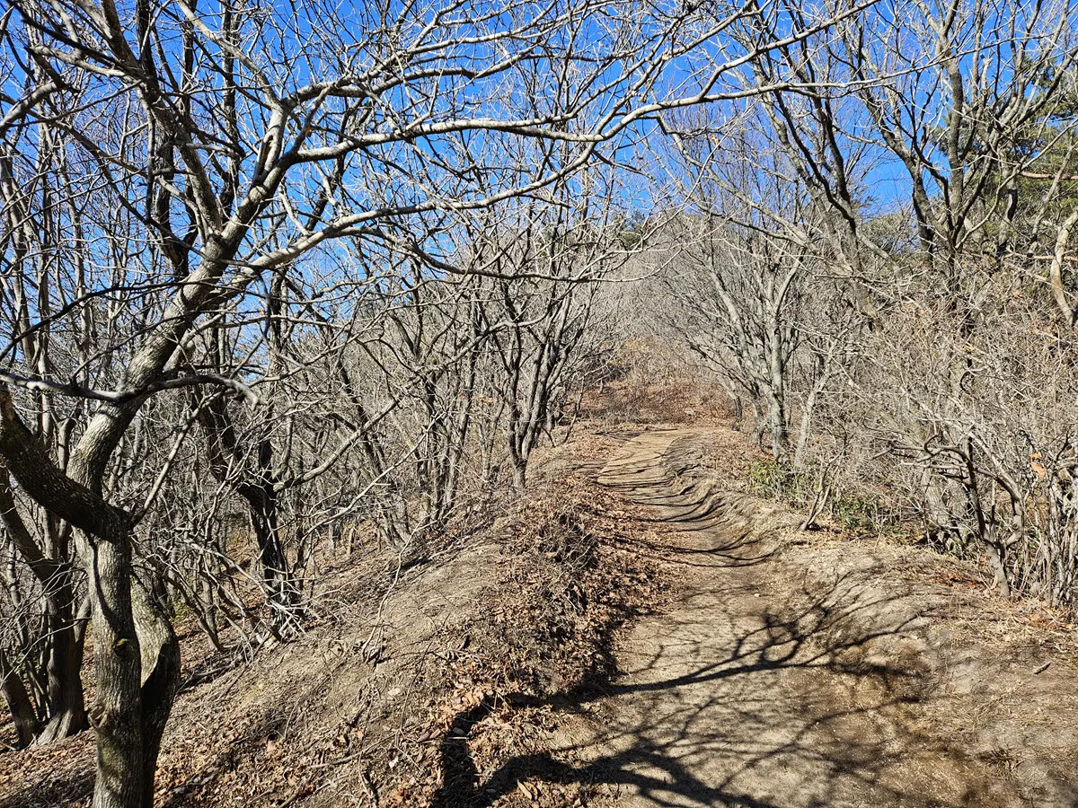 토함산석굴암 06