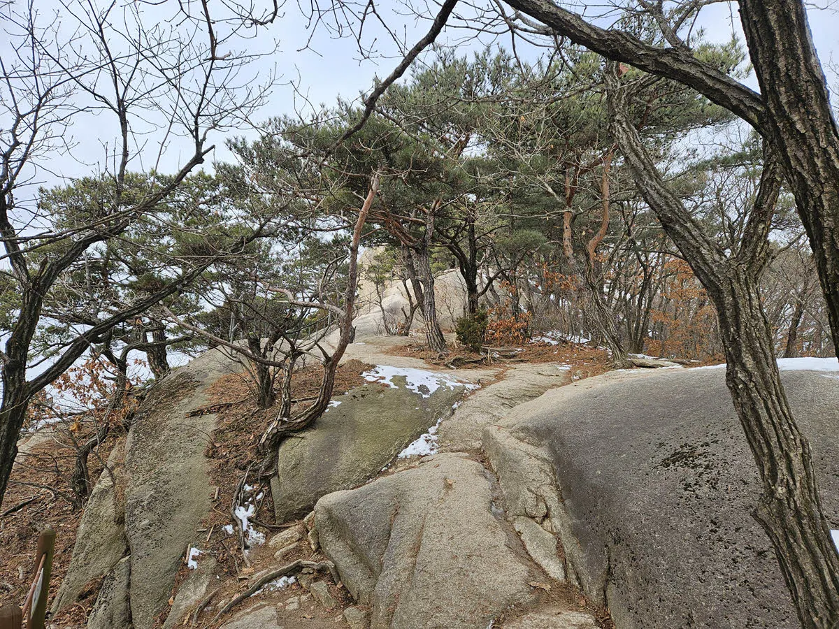 사패산 오르는 길