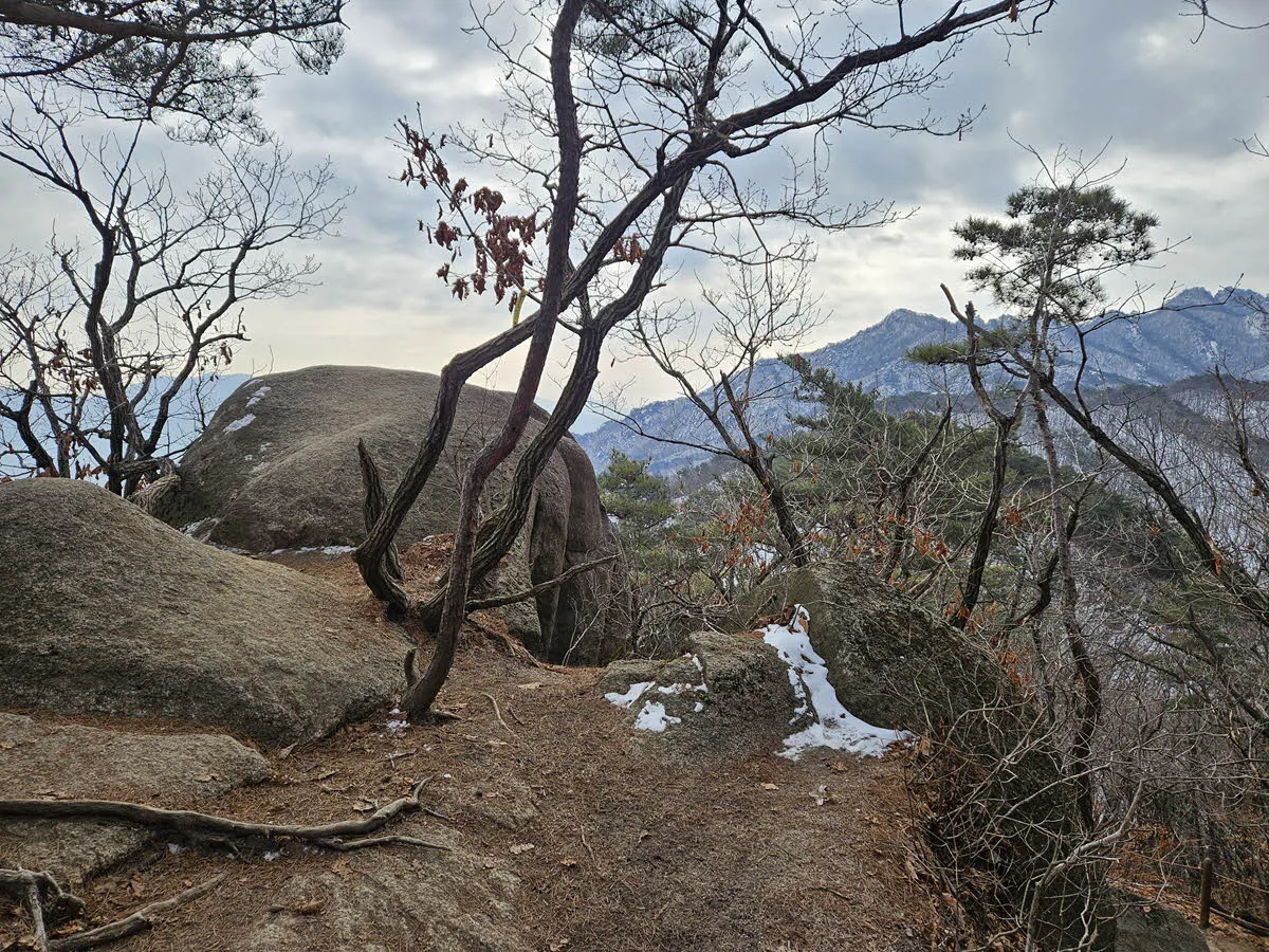 겨울의사패산 10