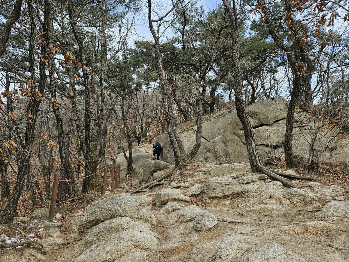 사패산 정상 남쪽 방면