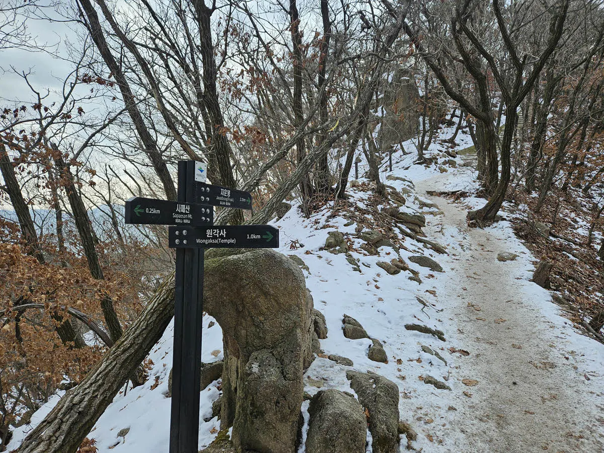 겨울의사패산 12