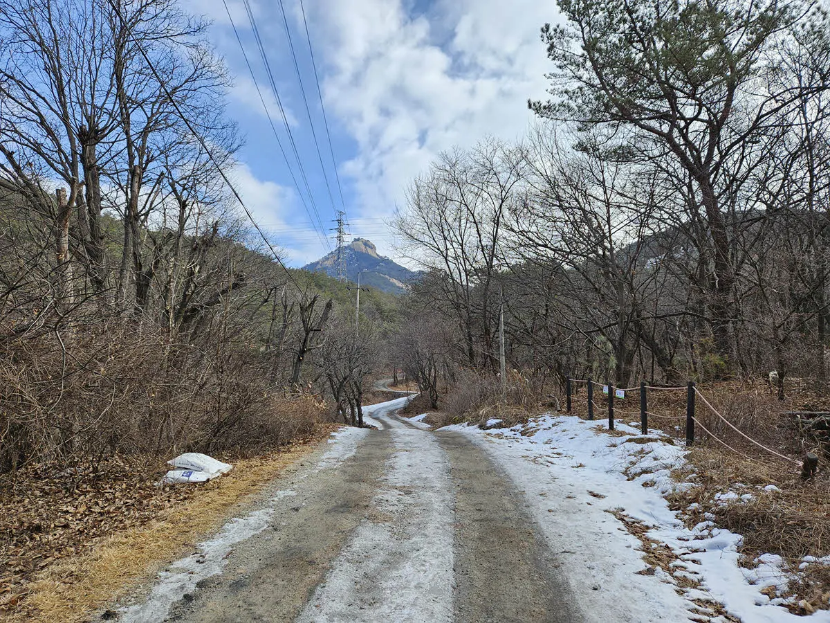 원각사 가는 길