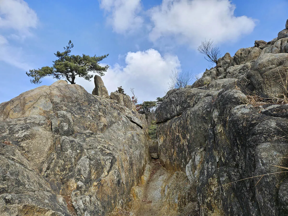 관악산 관양능선 17