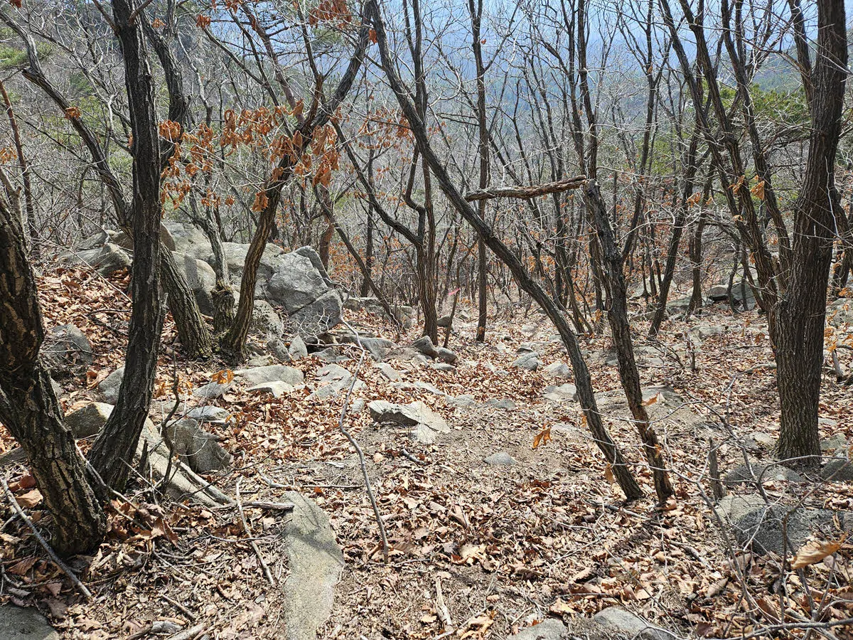 등산로 인지 아닌지 헷갈리는 길