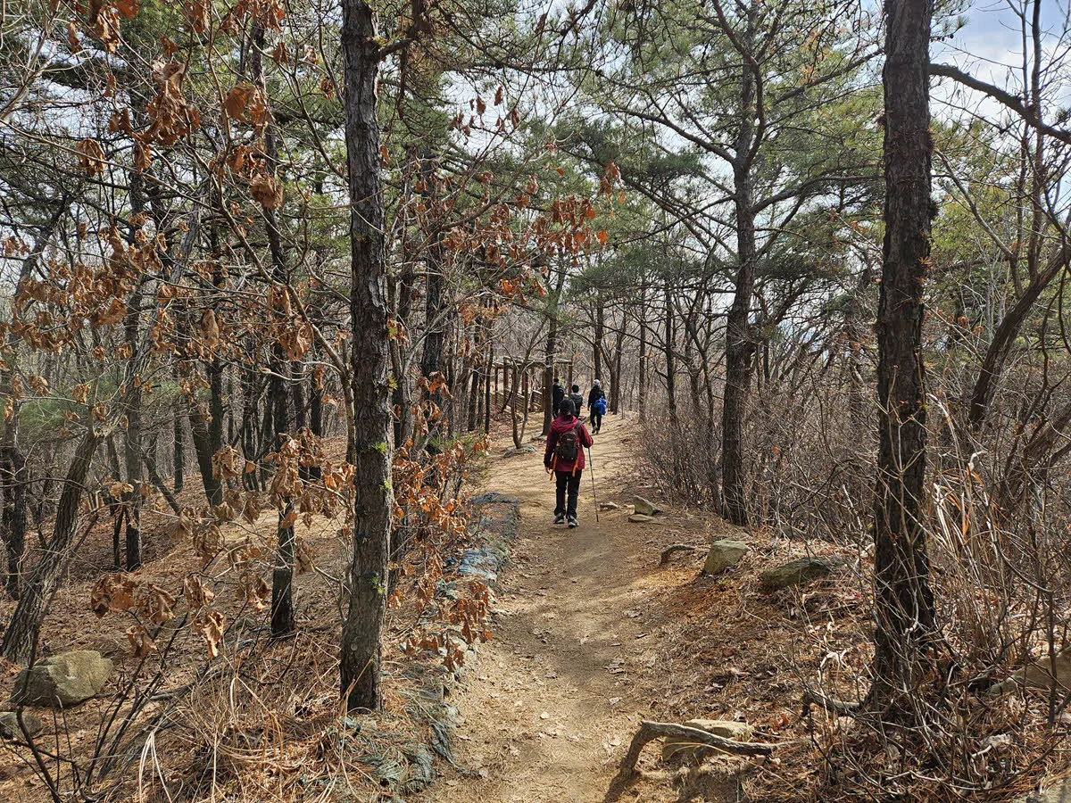 관악산 관양능선 