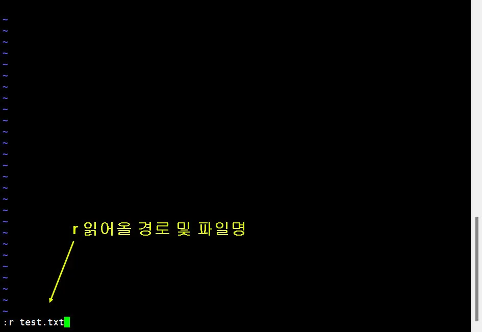 vi에서 파일 읽기
