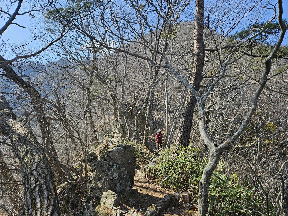 내장산 케이블카에서 내려 연자봉으로 가는 길