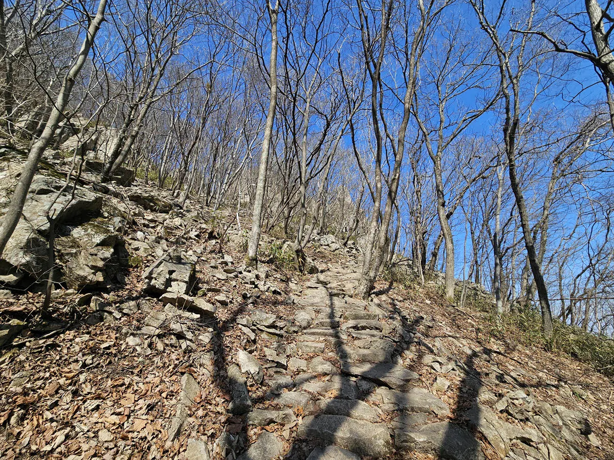 신선봉 오르는 길