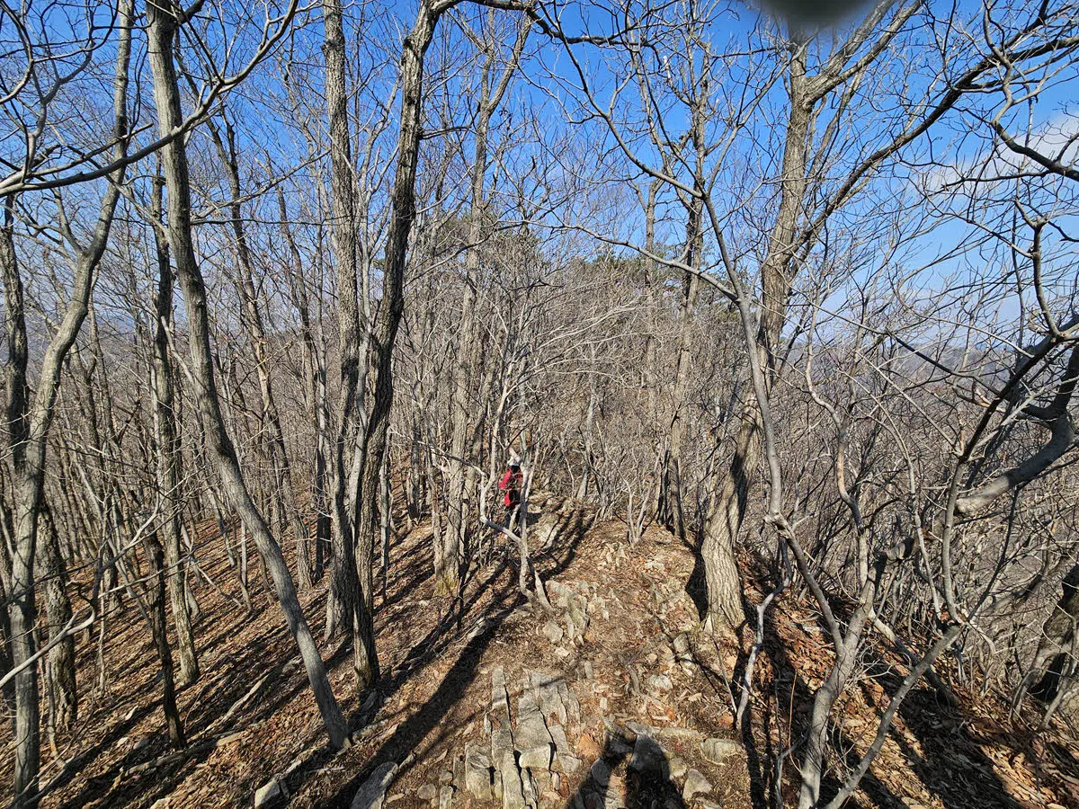 신선봉에서 까치봉 가는 길