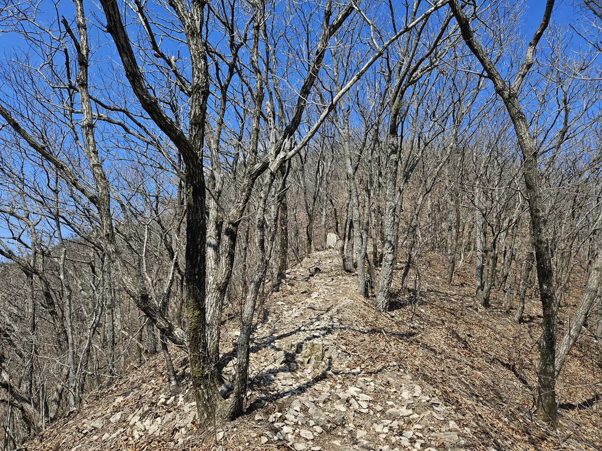 연지봉 가는 길