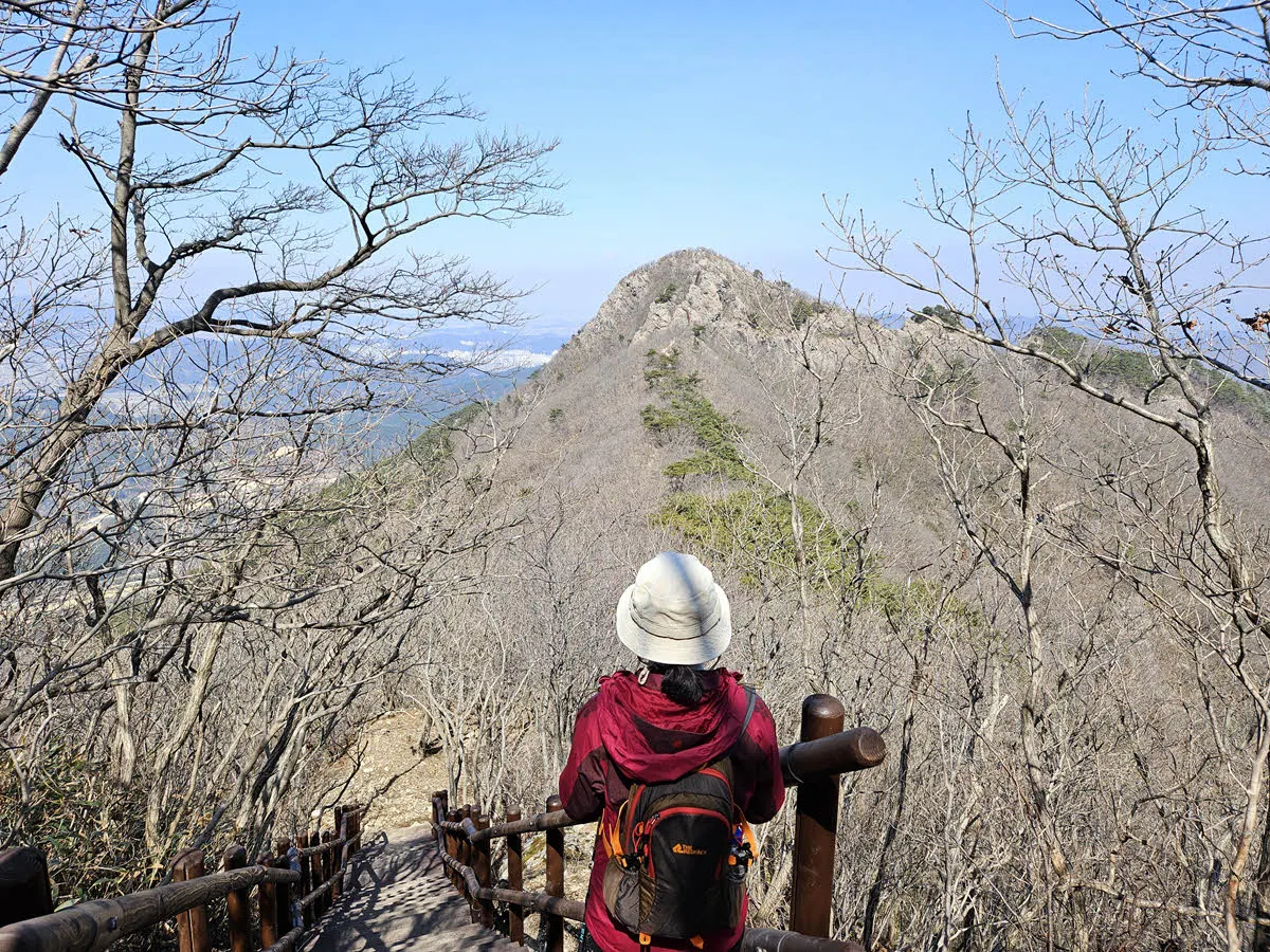 눈 앞에 보이는 망해봉