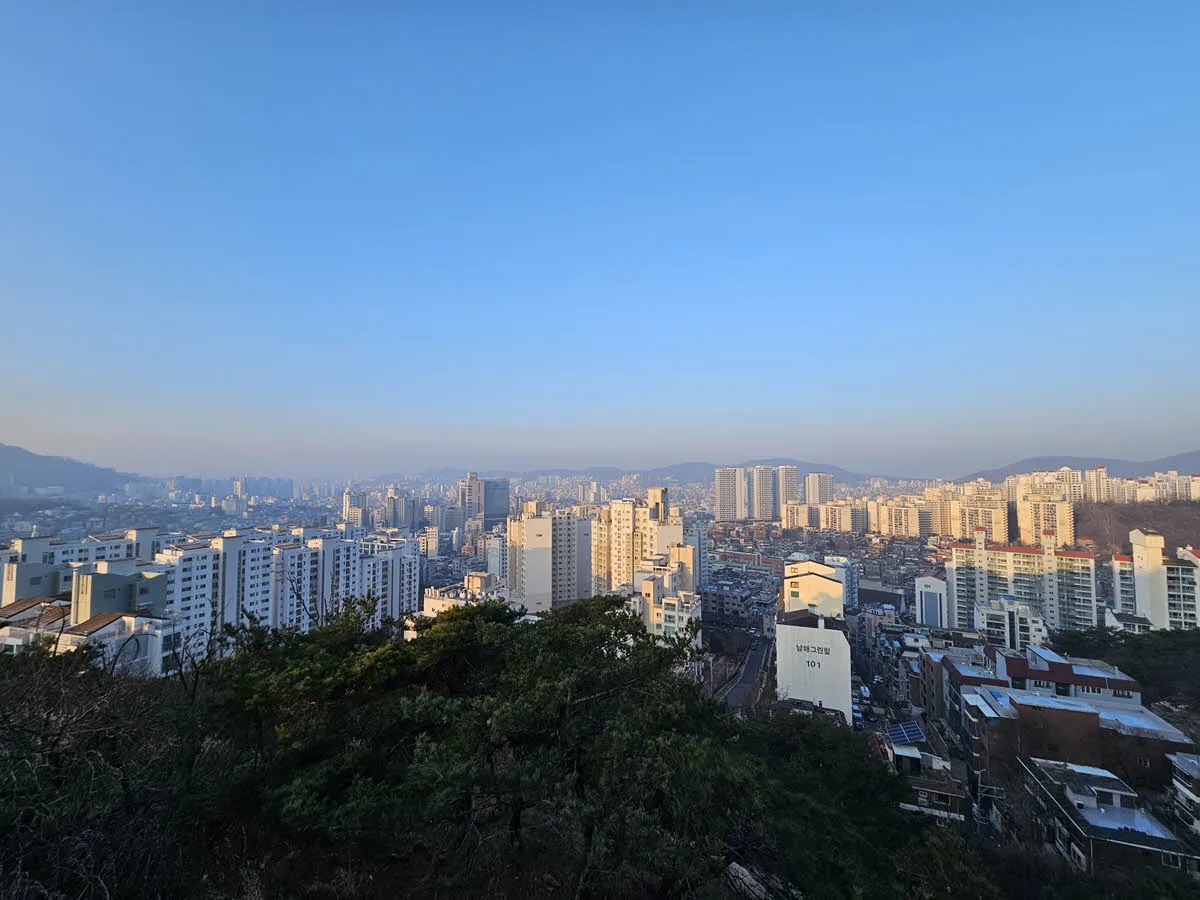 전망대에서 바라본 불광동