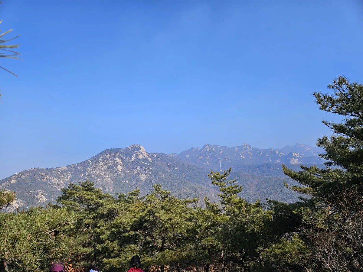 장미공원 하산길에 보이는 족두리봉 암릉