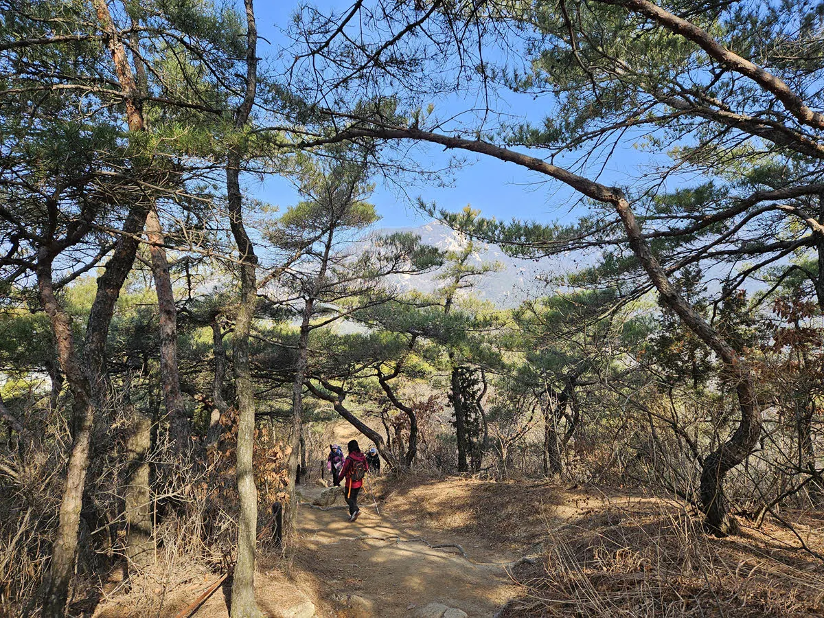 북한산 족두리봉 38