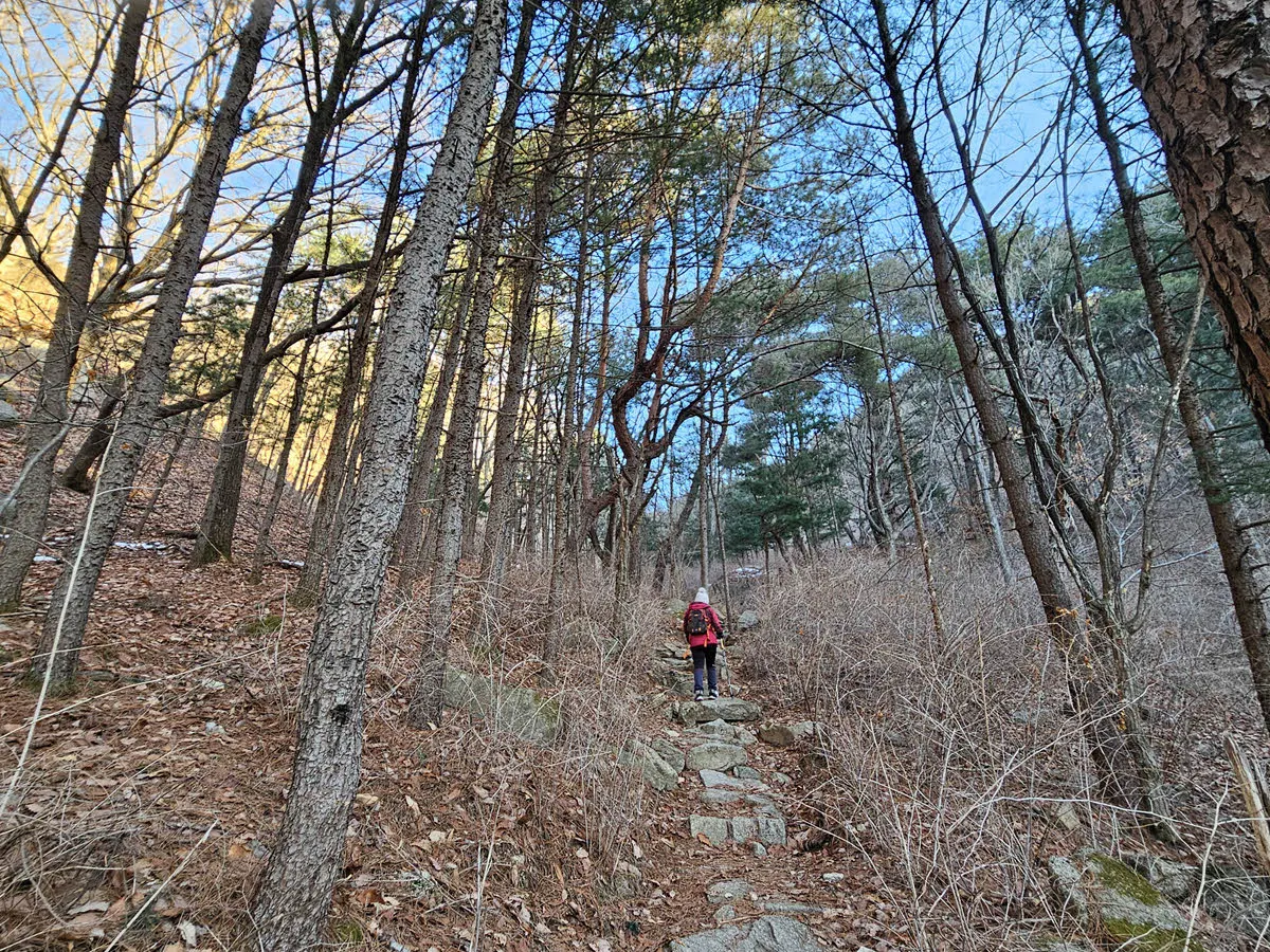 내원사에서 칼바위능선으로 오르는 등산로