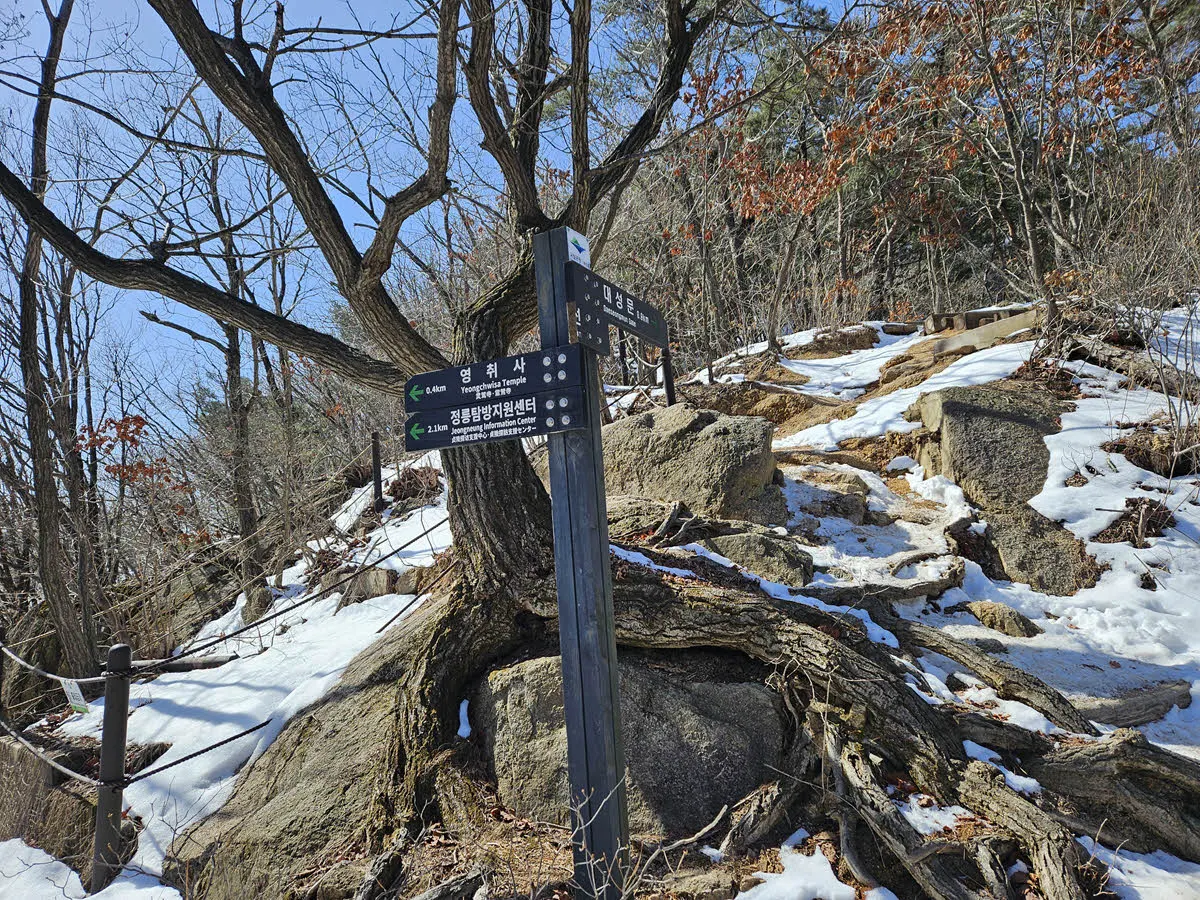 영취사 방면 하산길