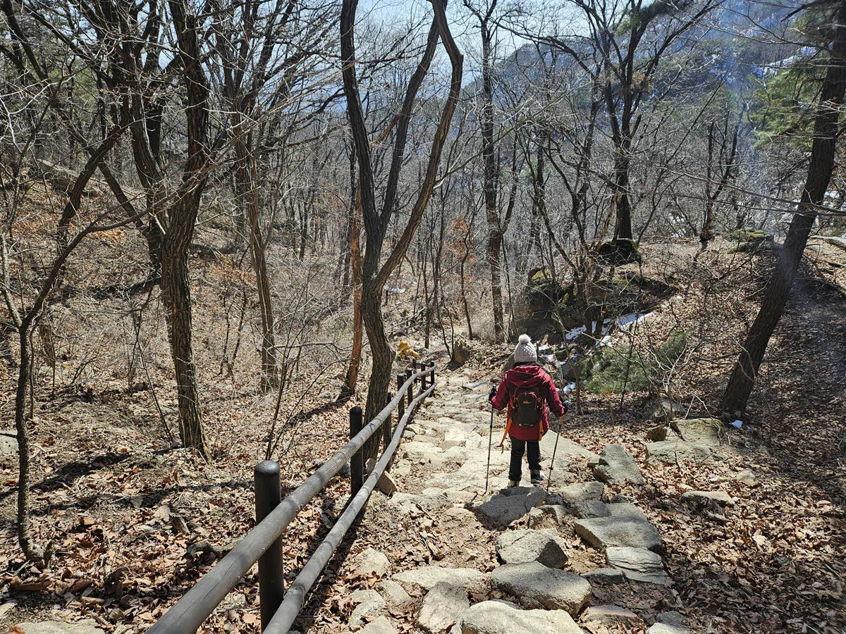 영취사에서 하산하는 길