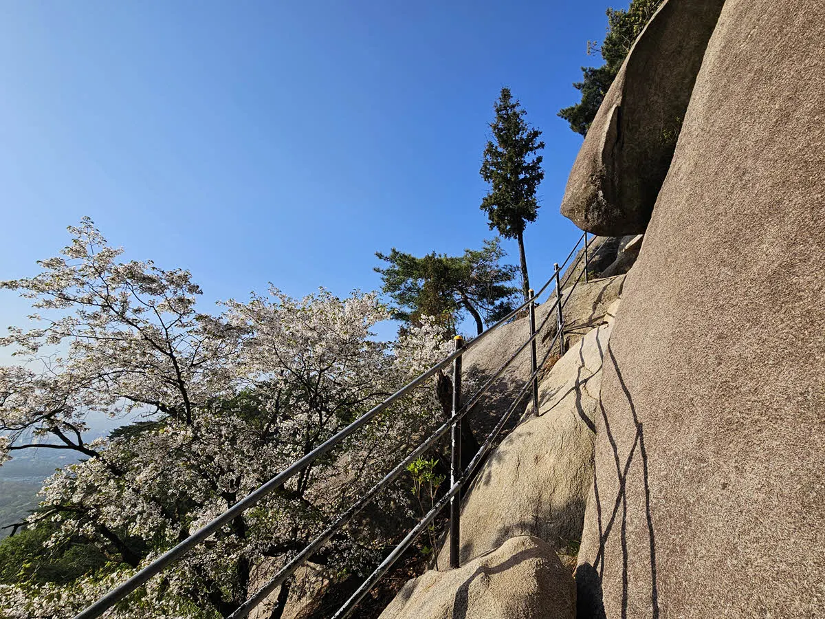 다락능선 입구 암반길