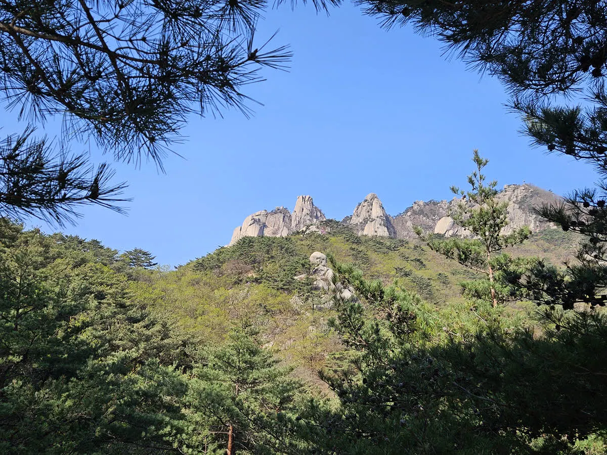 다락능선에서 바라본 도봉산 정상부