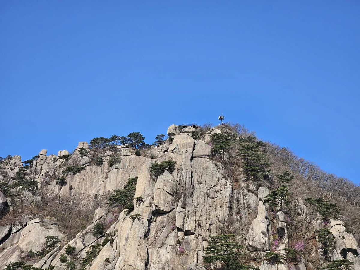 포대정상