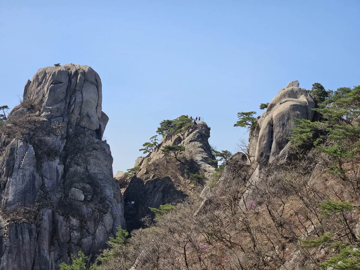 신선대에 오른 사람들
